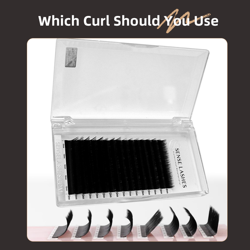 رموش تحسس L / M / LC / LD ملحق - مراجعة Eyelash Extension Human Hair وسعره